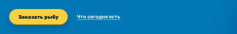 Кнопка и ссылка первого экрана