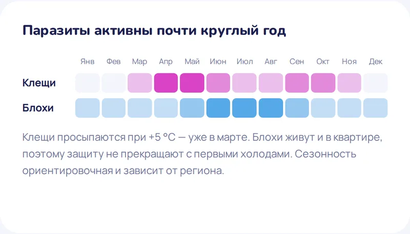 Календарь активности паразитов