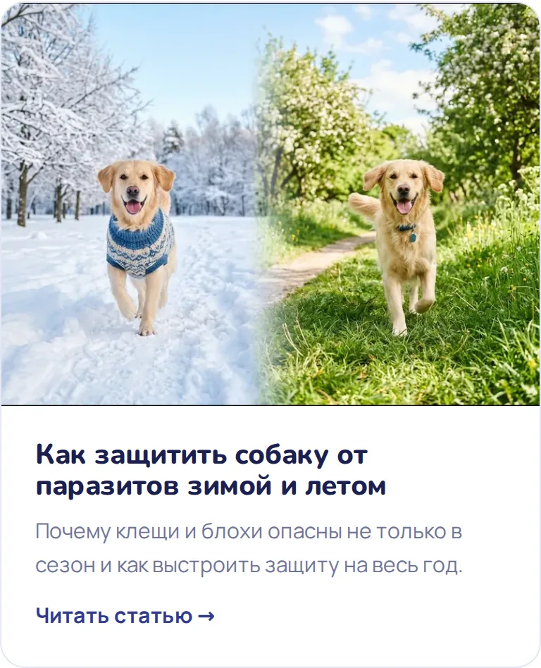 Карточка статьи