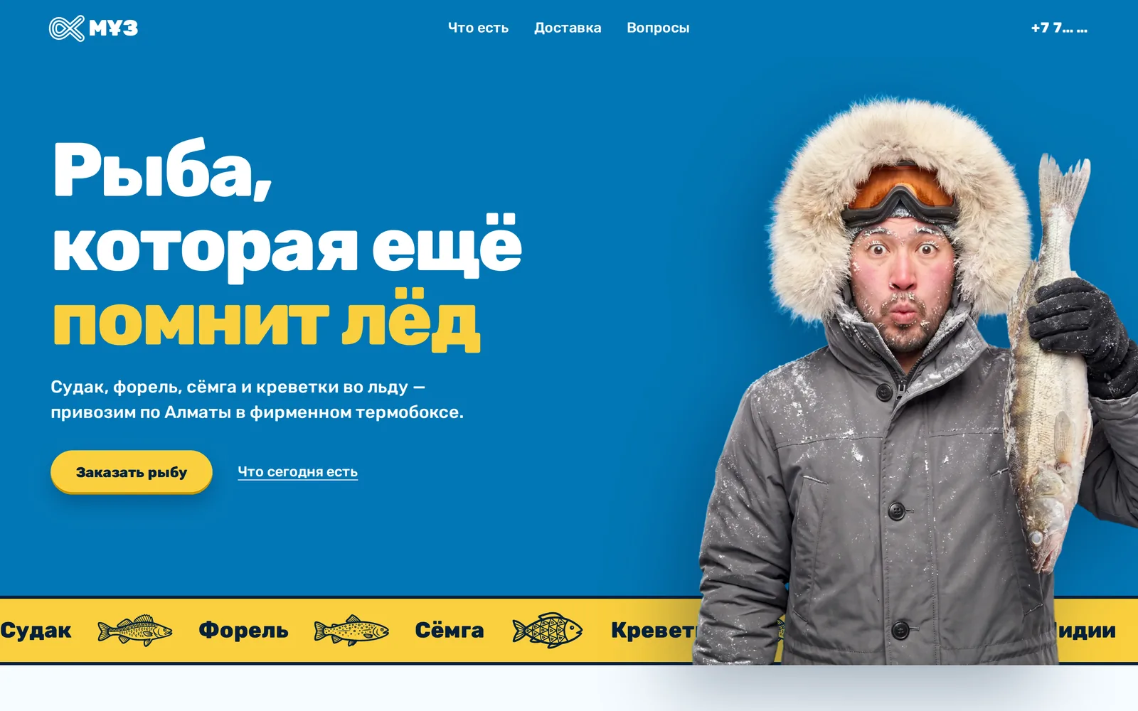Проект Мұз