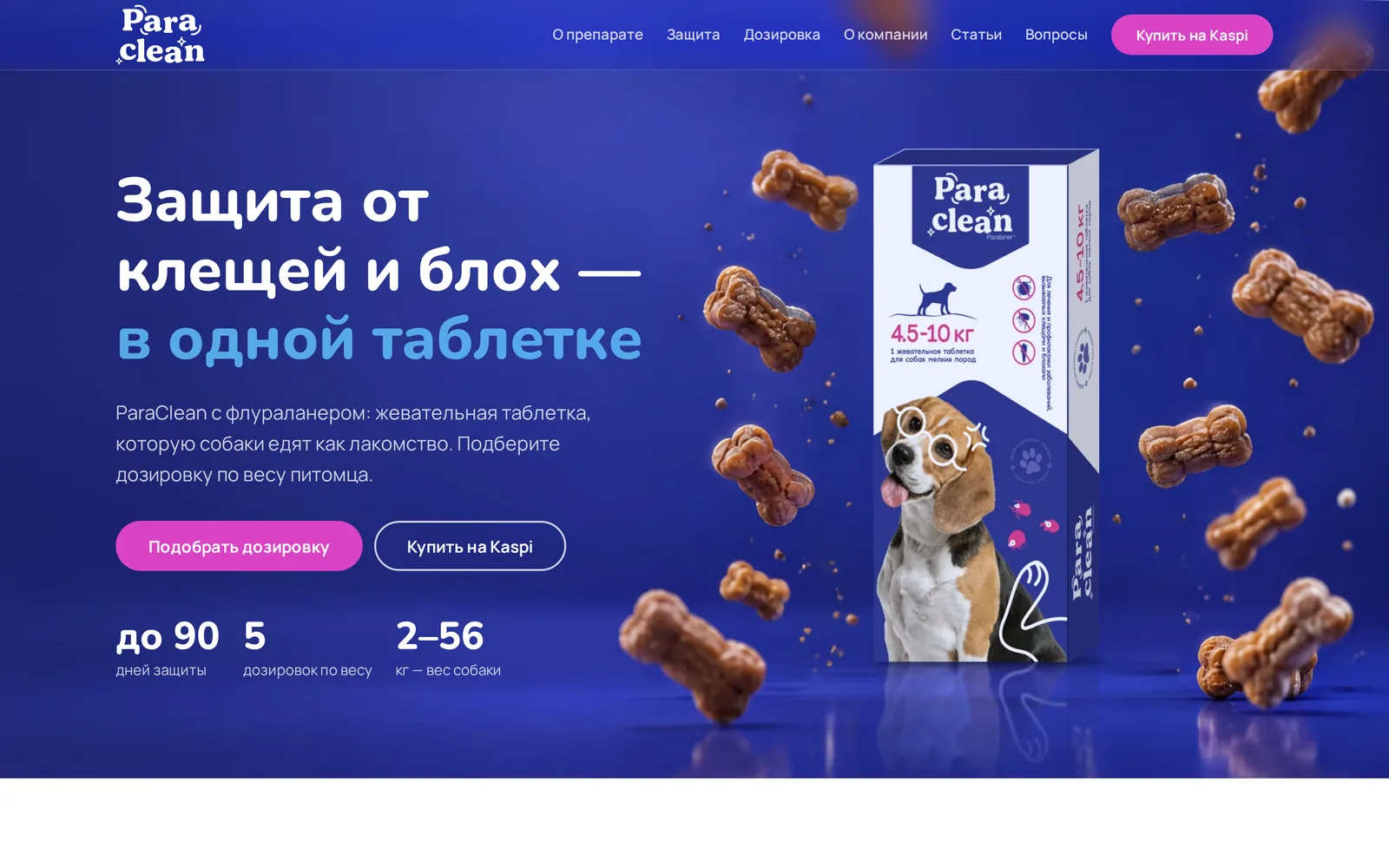 Проект ParaClean